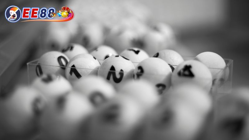 Chơi dàn đầu đuôi luôn có lời